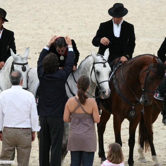 III Feira do Cavalo - Campeonato da Europa de Equitação de Trabalho