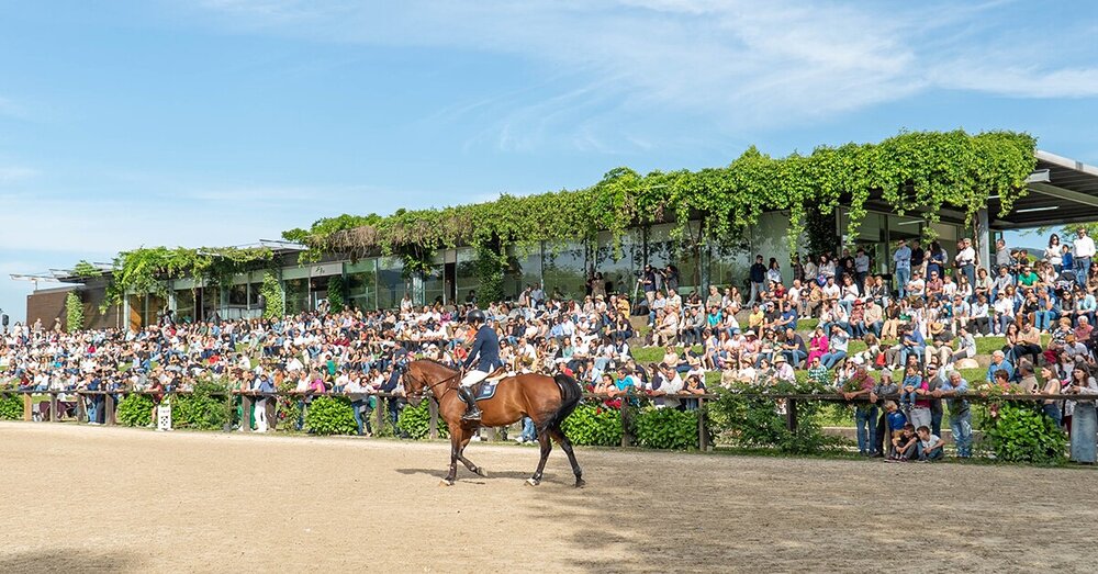 associacao_de_municipios_portugueses_do_cavalo